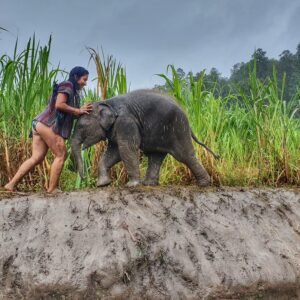 Foto de Sara con un bebe elefante